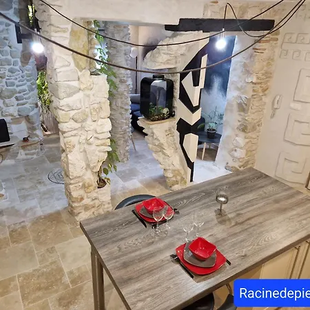 Apartment Racine De Pierre Castres (Tarn)