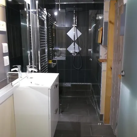 Apartment Racine De Pierre Castres (Tarn)